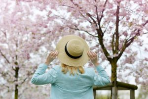 Blonde woman wearing hat as she enjoys cherry blossom trees