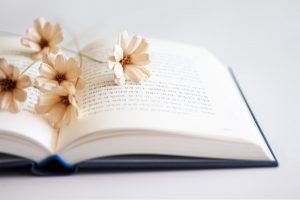 Open book with sweet pink flowers resting on its pages