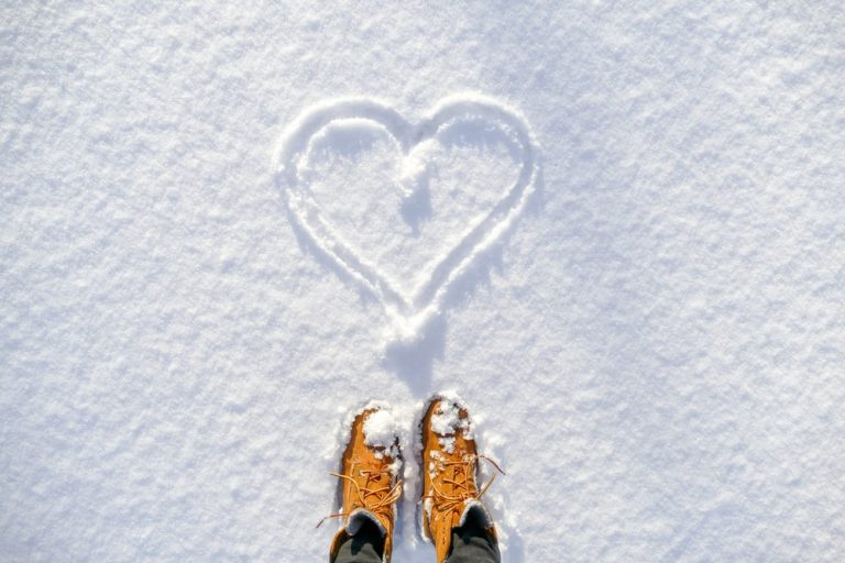 Understanding Your Grief: Hope for the Holidays - Funeral Basics