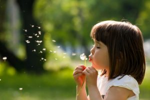 Young girl having fun blowing on a dandelion
