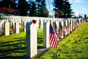 Military cemetery with white headstones; American flags displayed; red rose resting on first headstone