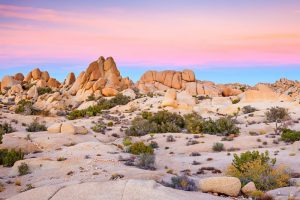 Joshua Tree National Park, California