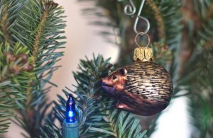 Hedgehog ornament on a Christmas tree
