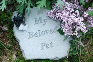 Pet headstone with light purple flowers nearby