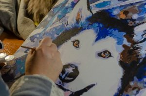 Pet portrait of a husky dog