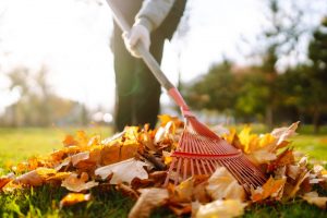 friend raking leaves