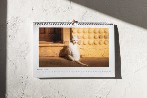 Calendar with white cat in the monthly photograph