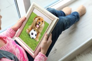 Woman relaxing on window seat as she looks at framed photograph of her pet