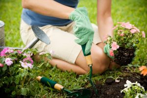 woman kneeling in a garden and planting flowers