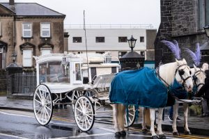 White, horse-drawn funeral hearse