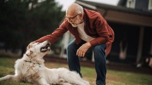 Older man in red flannel playing with white dog outside