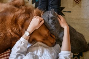 Person sitting on floor, hugging a dog and cat close