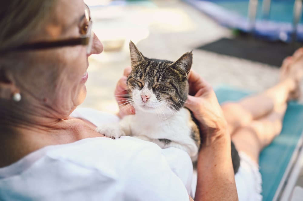 Older woman petting a peaceful cat on her lap