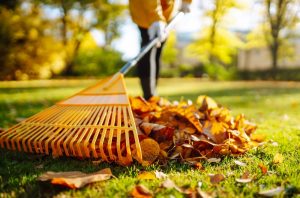 Person in yellow coat raking fall leaves