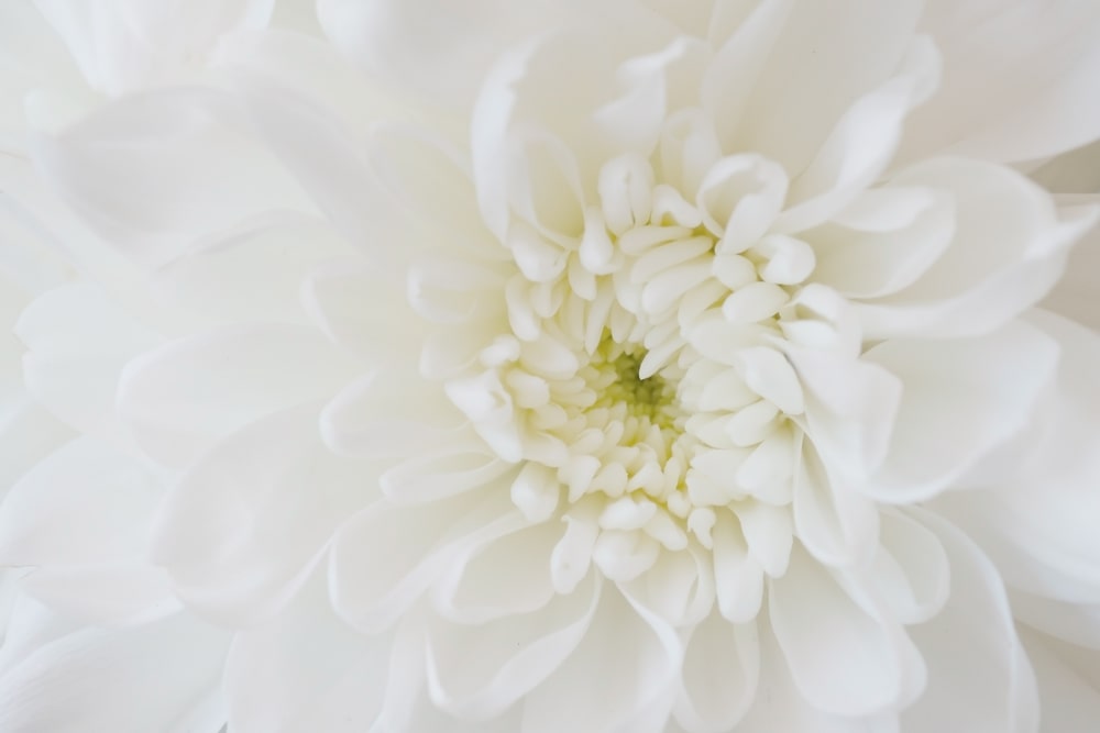 How to Personalize Symbols at a Funeral