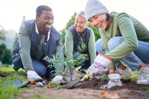 Three people volunteering outdoors and planting trees and bushes
