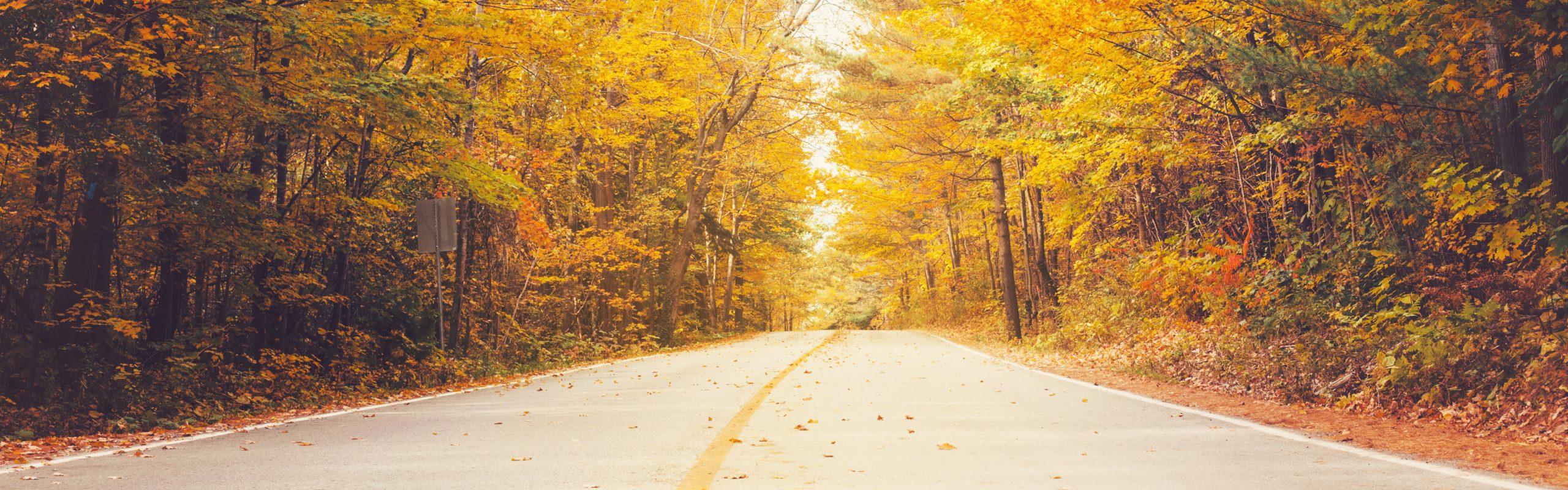 Everything You Need to Know About Funeral Procession Etiquette