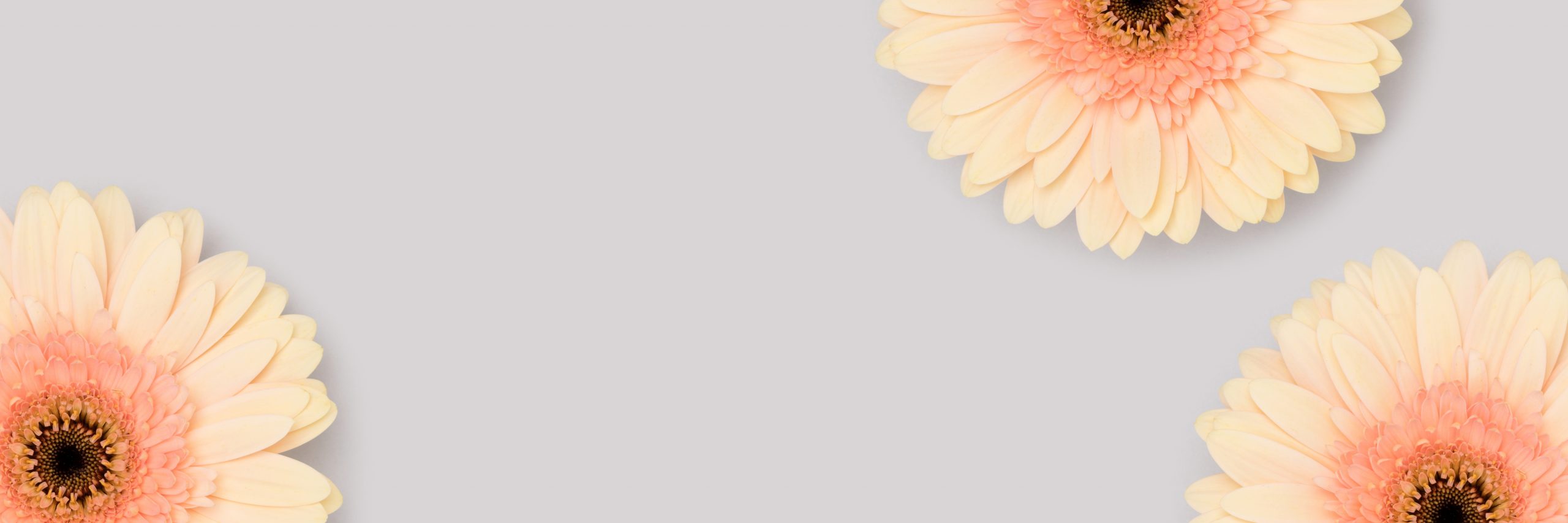Dealing with Guilt After Child Loss