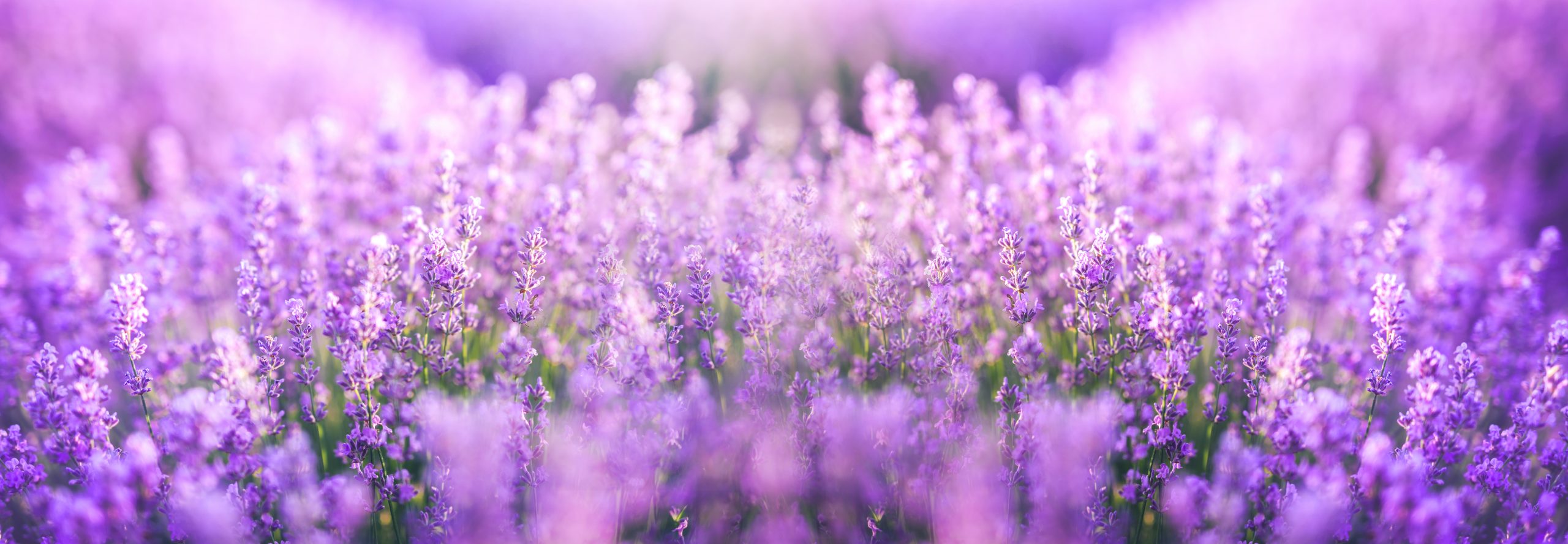 6 Things You Should Never Say to a Grieving Person