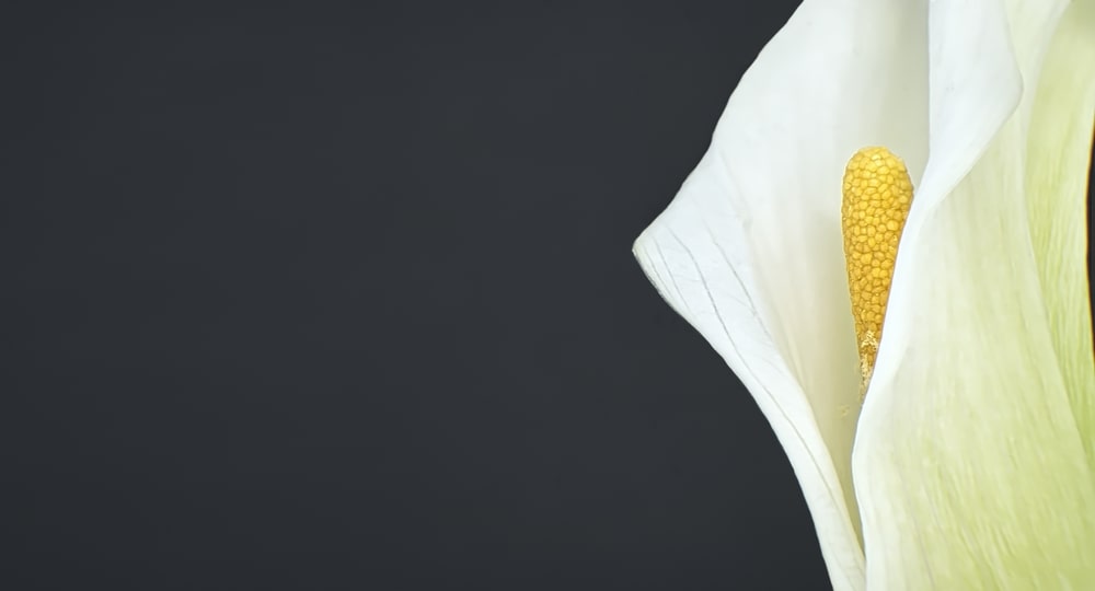 Grief & Depression: What’s the Difference?