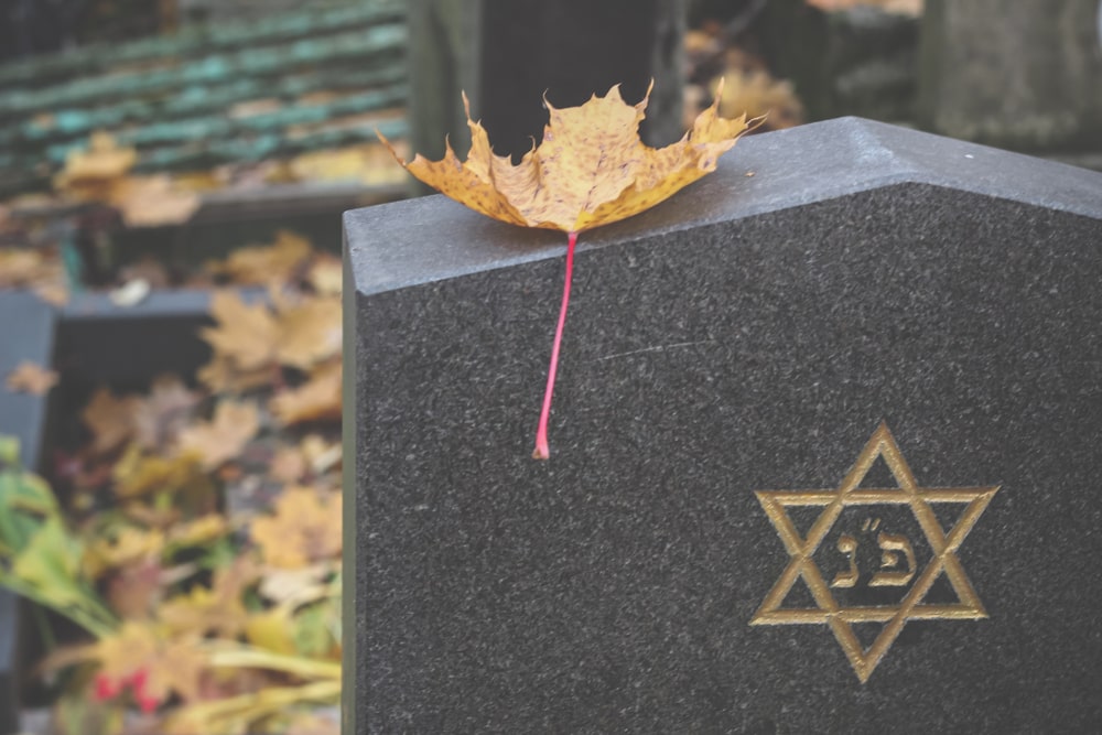 yellow leaf resting on top of a granite headstone with the Star of David engraved on it