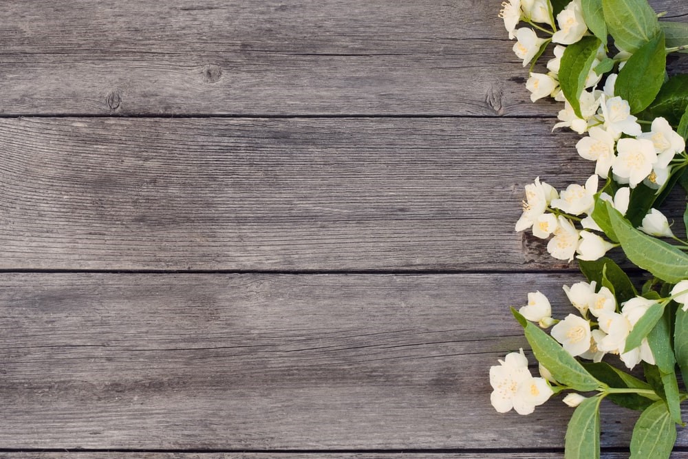 A Quick Guide to Cremation Caskets