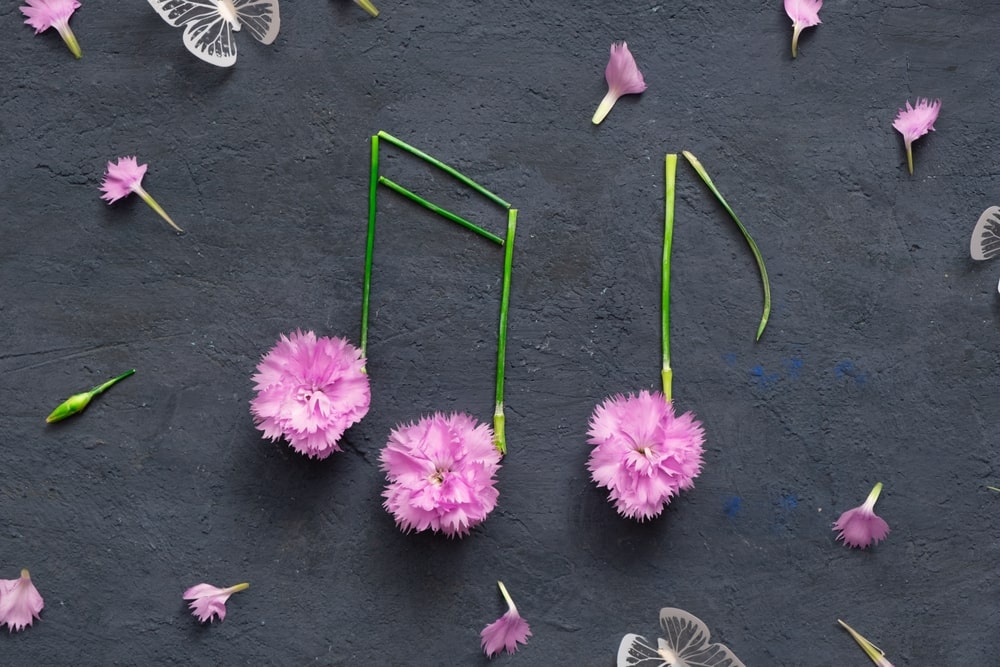 Musical notes made out of pink flowers on black background