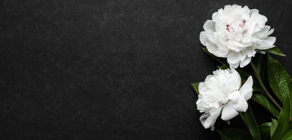 Viewing vs. Visitation: What’s the Difference?