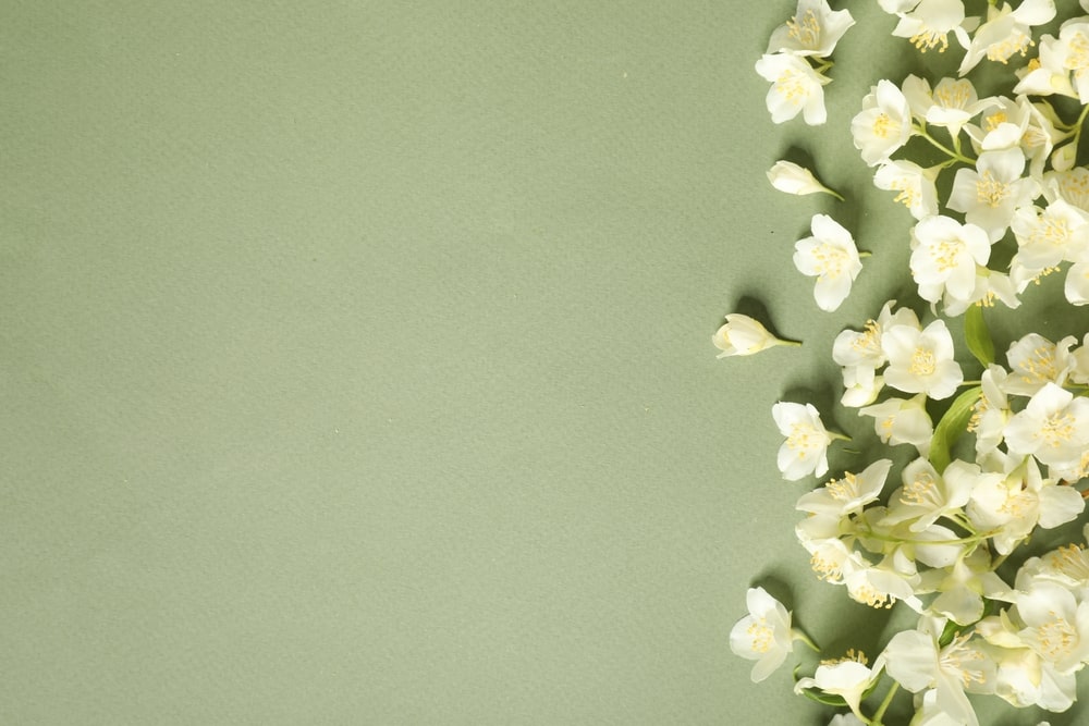 Funeral Flowers Around the World