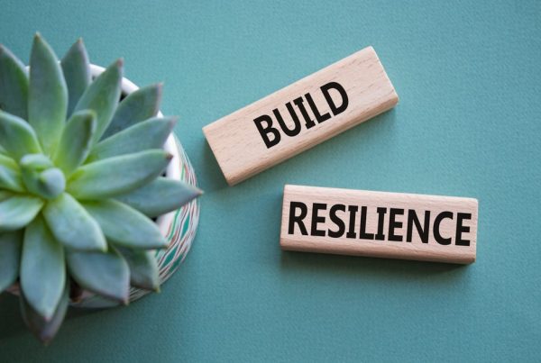Succulent plant next to two blocks that read "Build Resilience"
