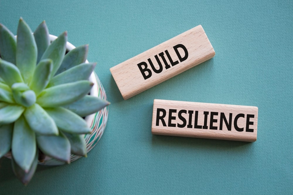 Succulent plant next to two blocks that read "Build Resilience"