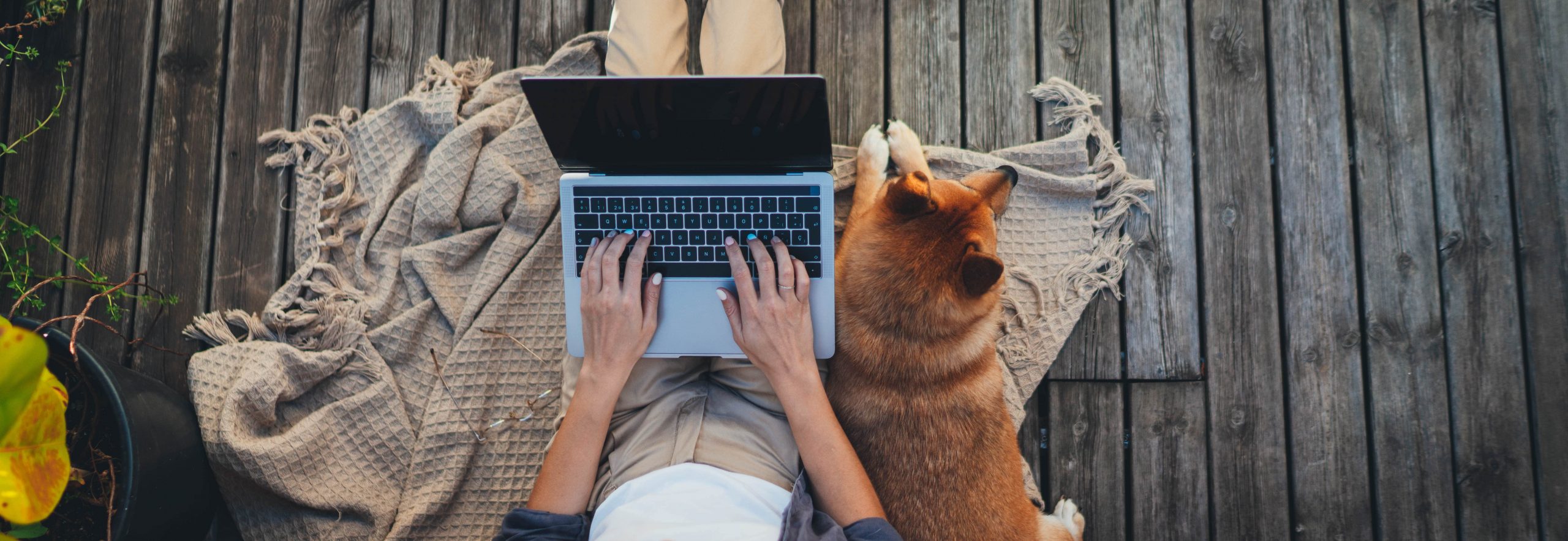 How to Emotionally Prepare for a Pet’s Death