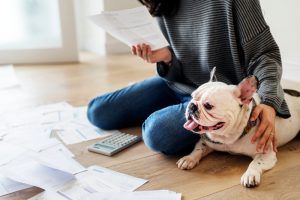 Woman in gray sweater sitting on floor next to dog and looking at estate planning documents