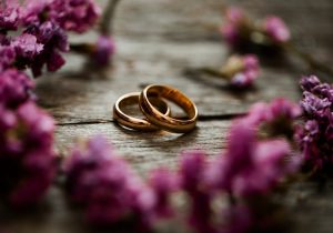 shutterstock_2042277533 (1)