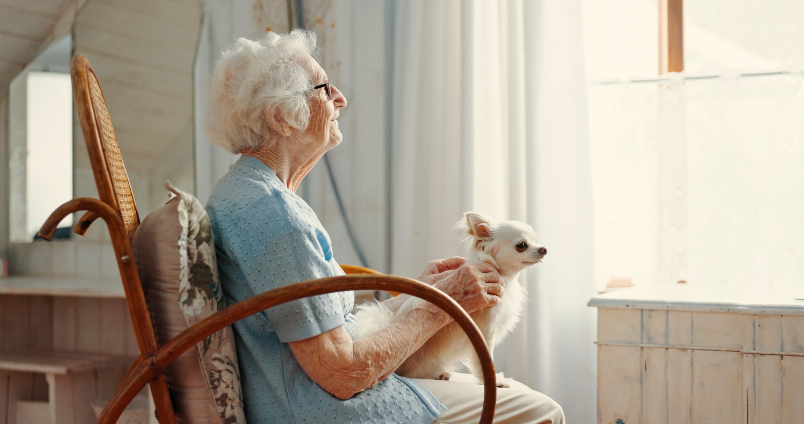 Understanding the Benefits of Pet Therapy for Hospice Patients