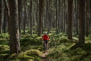 Mature woman biking through green forest