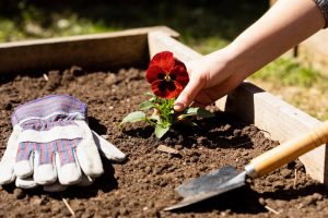 Garden bed with spade, work clothes, and small, red flower