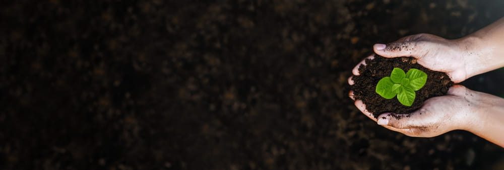 How Does Natural Organic Reduction Work?