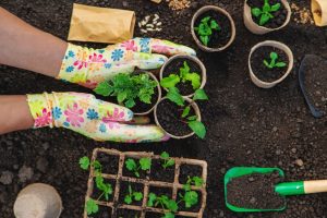 Woman in colorful gardening gloves using soil to plant new seedlings