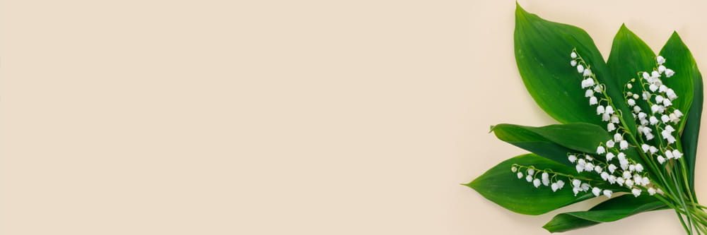 Funeral Celebrants: How Can They Help Your Family?