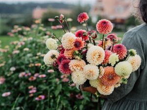 bouquet of flowers being held by a woman in a grey sweater
