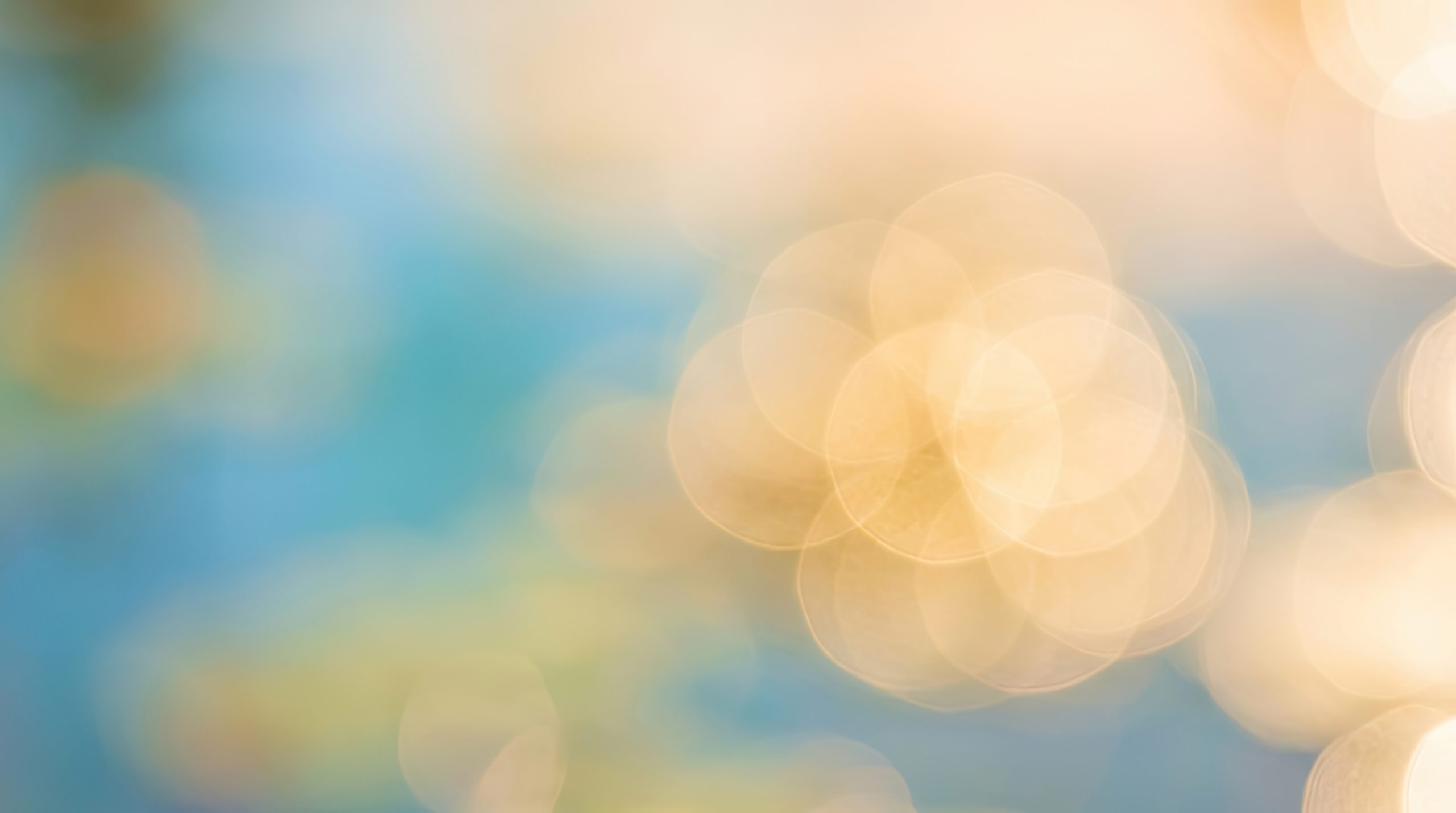 What Happens in the First 48 Hours of Hospice Care?