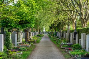 A cemetery path with perfectly installed headstones on each side