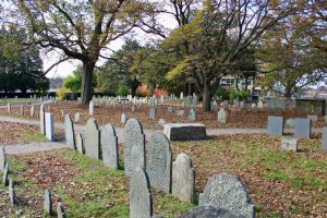rows of headstones in a cemetery in autumn