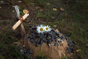 A green burial site with a natural memorial marker