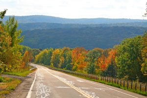 A scenic view from a road
