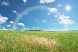 full rainbow over a green meadow