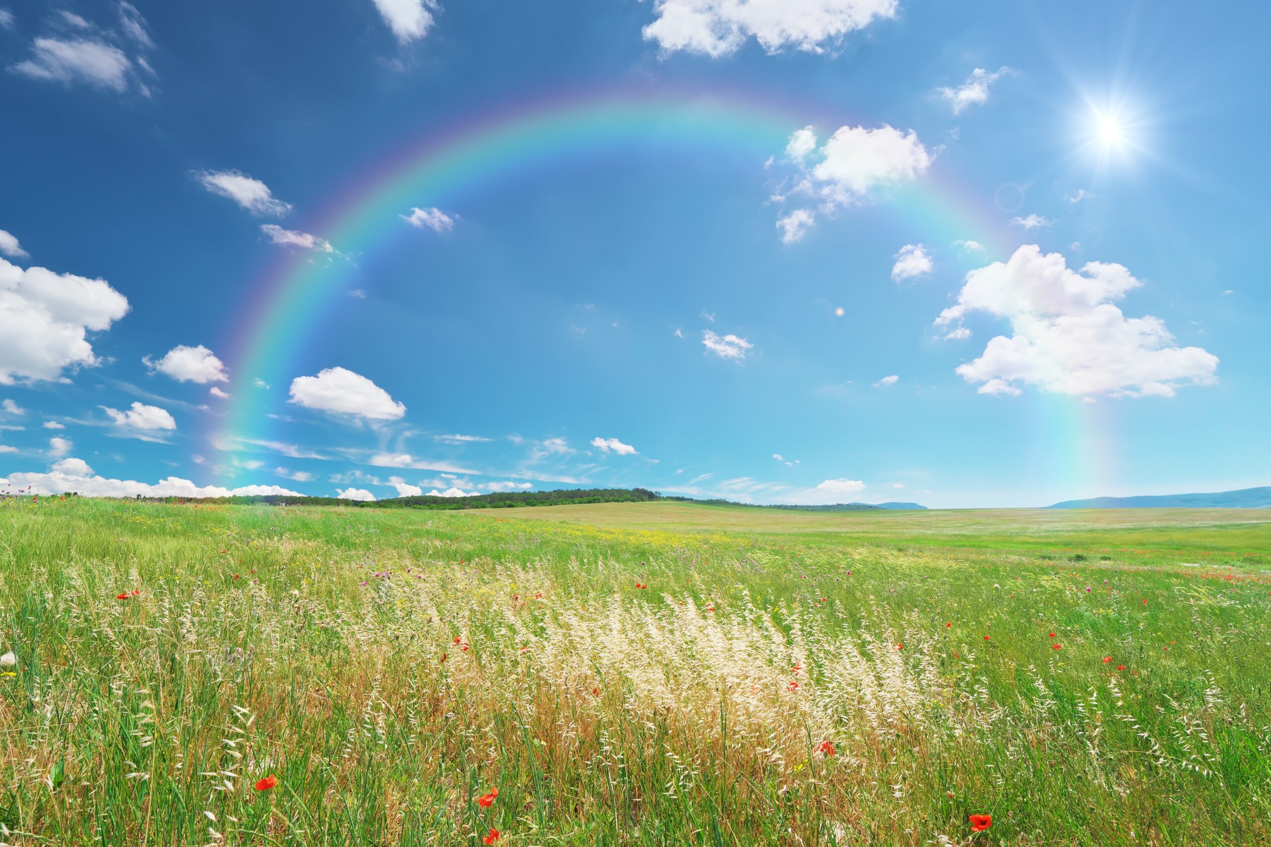 full rainbow over a green meadow